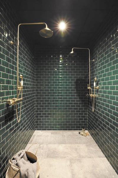 Purus Line Premium - 3